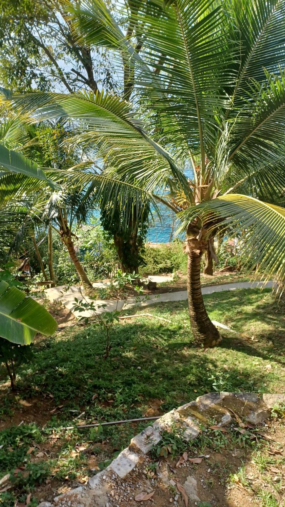 Hotel Saracura Praia de Araçatiba Exterior foto